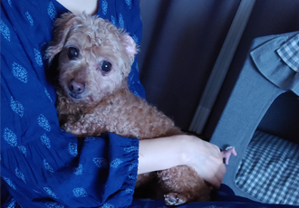팔랑이~~(지금은  버디예요~~^^)