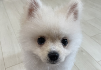 용식이(송오)한달후기