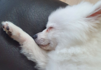 송사 일주일 지났어요