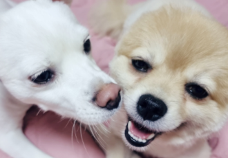 달이(온새)의 한달차 이야기~♡