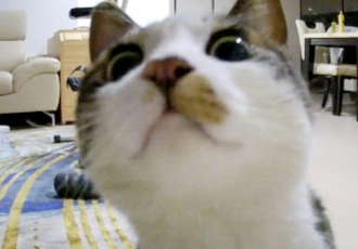 까꿍이를 데려온지 7일차!