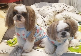 샘이랑복민이의 5월이야기♡