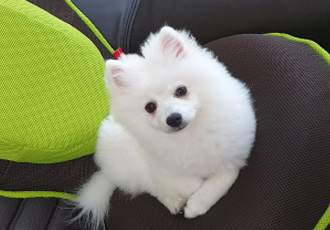 송사 한달됐어요