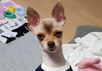 제티 !!