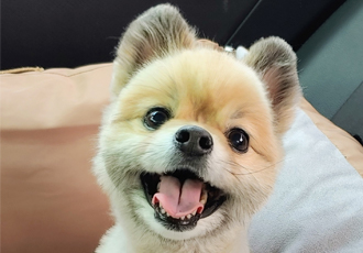 천송이와 함께한 1년 