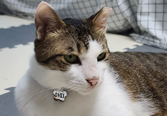 아띠와 함께 한달이~!!