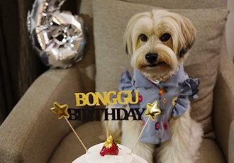 봉구 6살 생일 파티 ~ ^^