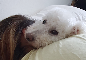 고다 (레일이) 입양 한달 후기 !!