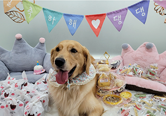 고양 다오입니다^^