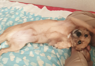 도담이 입양 1년하고도 2달이 지났어요^^