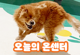 [오늘의 온센터] 온센터의 8월의 시작은 어땠을까요?