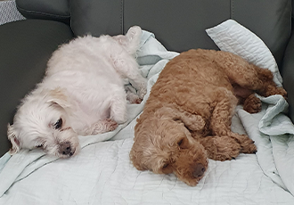 안녕하세요 곤지암 밤송이  소식전해드려요