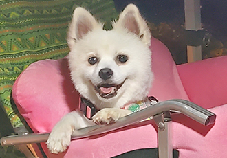 곤지암 달밤이 벌써 1달이넘었어요~~