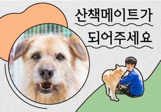 [봉사] [신청마감] 산책메이트가 되어주세요!