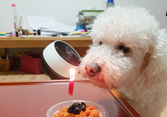 최고다(레일이) 온지 벌써 100일(3개월) 이 됐어요!