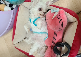 벌써 1년 9개월~~!