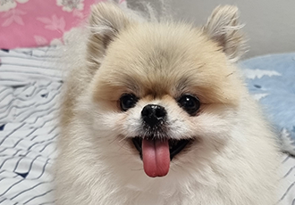 ❤제나가 우리가족이 된 지 5개월 차❤