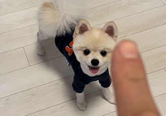 용식이(송오) 입양이야기!