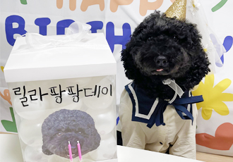 고양시 불법번식장 구조견 헤라1년후 이야기