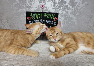 뚜비, 나나, 뽀 입양 1주년