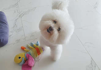말랑이와 함께 한지 2년이 다 되어가요.