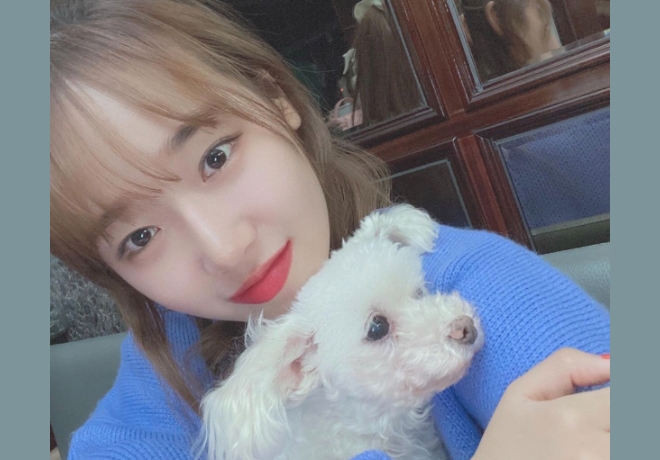 위키미키 최유정 팬클럽의 후원