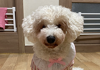 윤랑(쟈스민)과 함께한지 137일째