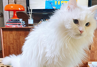 오뇨와 함께