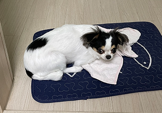 오랜만이네요 ㅎ(구지민이)