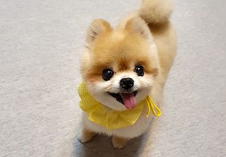 오랫만에 ‘티아’소식 올려요~^^