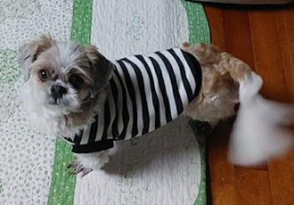 오리 입양 첫날^^