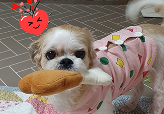 나이를 거꾸로 먹는 조아