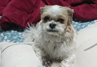 오리가 온지 한달이 넘었어요~