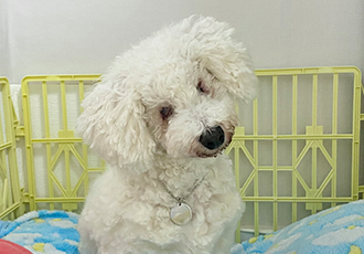 윤랑(곤지암_쟈스민)의 치료일기