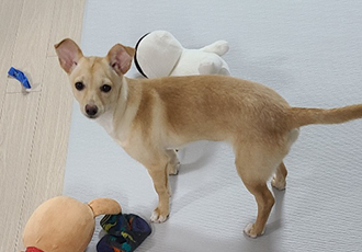 데이 입향후기(한달)