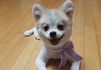 곤지암 레오( 구 금송이) 오랜만에 인사드려요~