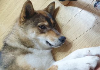 하다네집(한달)