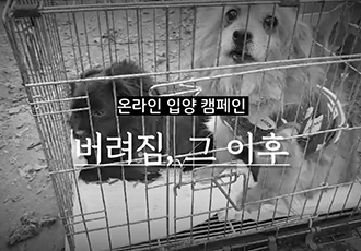 [온라인 입양캠페인] 벽강보호소 동물들의 '버려짐, 그 이후' 이야기를 영상으로 만나보세요!