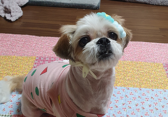 조아~