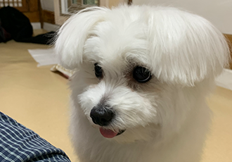 초코(동자연_뿌꾸), 이슬이(동자연_이슬이)