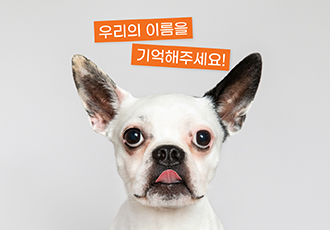 🧡BE HAPPY🧡 온센터 동물 친구들의 이름을 기억해주세요!