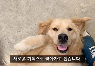[오늘의 온센터] 사랑이 넘치는 7월!(학대받던 소망이의 가족이 되어주세요!)