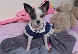 콩순이(포삼이) 일주일차