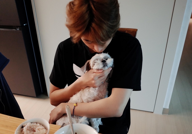 더보이즈 현재 팬클럽의 후원