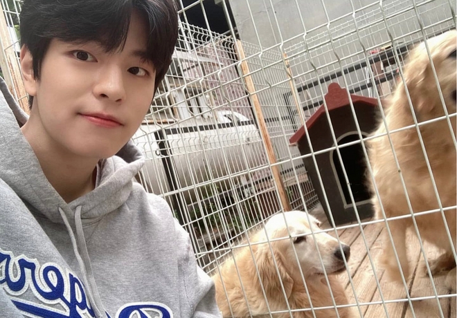 스트레이키즈 승민 팬분의 후원