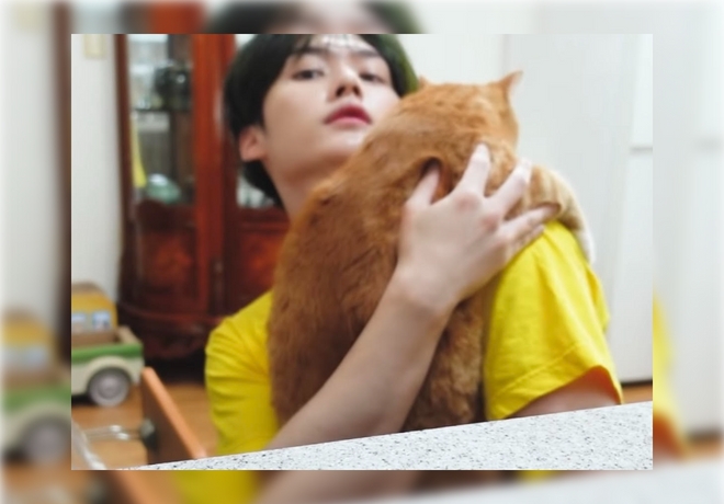 ﻿﻿﻿스트레이키즈 리노 팬분의 후원
