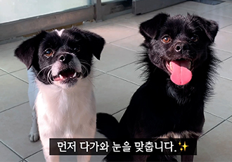 [오늘의 온센터] 제각기 다른 취향과 습관