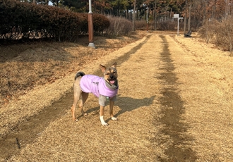 (구,강식) 테오의 석달 가족일기 