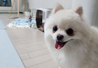 율무(시루) 한달차