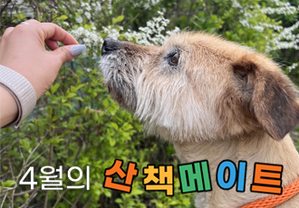 코끝 여행자와 함께한 4월의 산책메이트 봉사 후기 🏃‍♀️🏃‍♂️